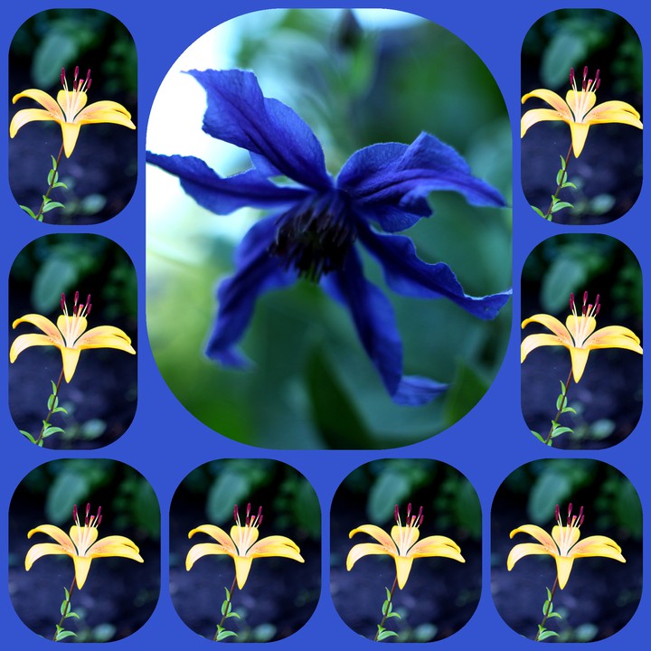 Collage