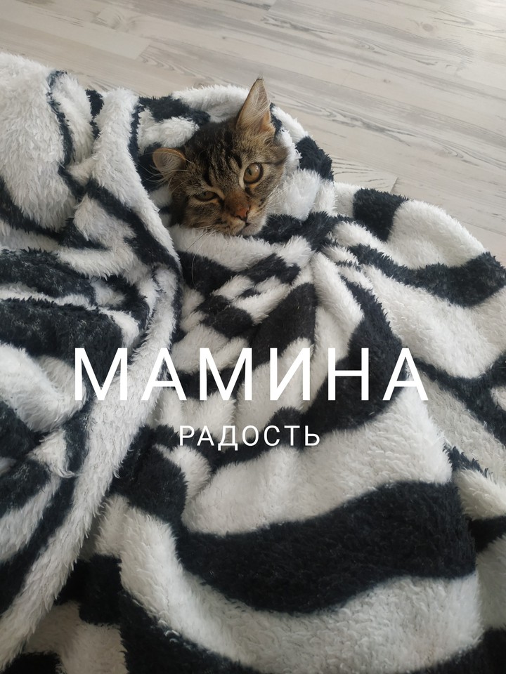 МАМИНА РАДОСТЬ