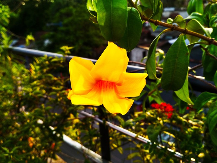 Is It Beautiful.??