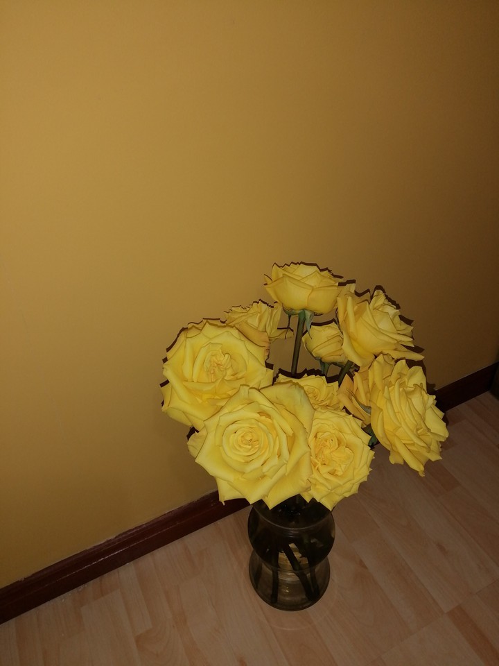 roses