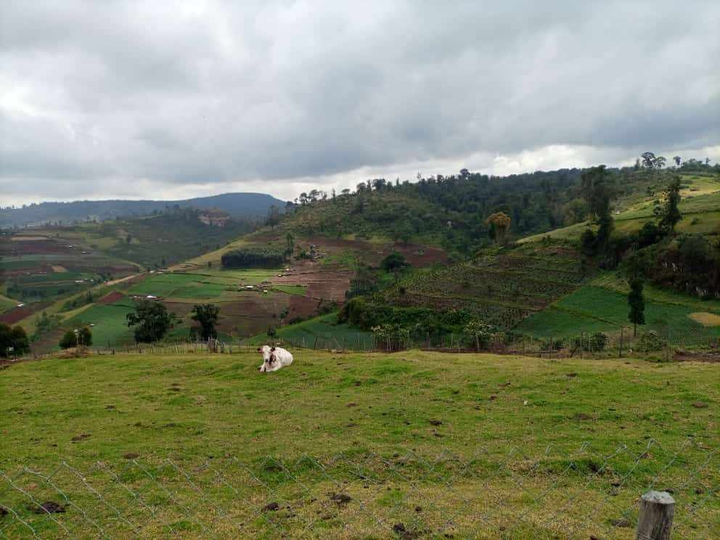 upper belt of mount Elgon ranges