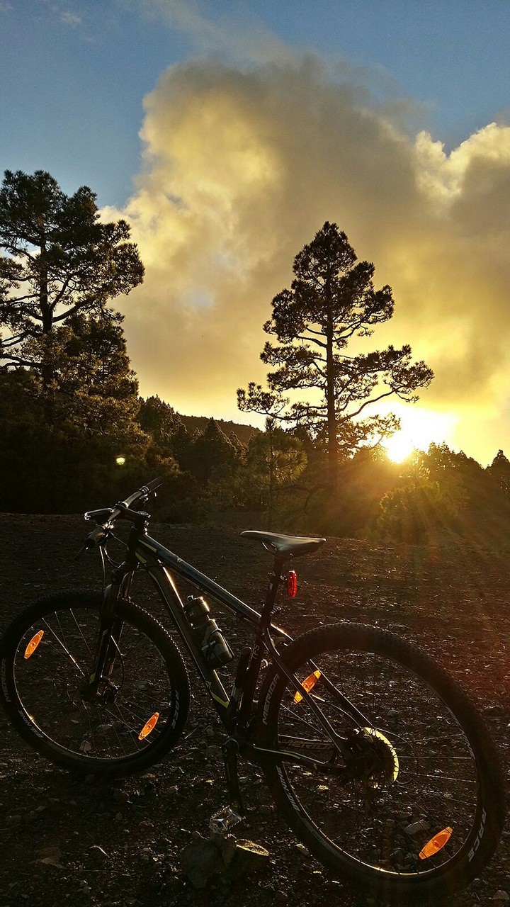 mountain biking at  sunset
