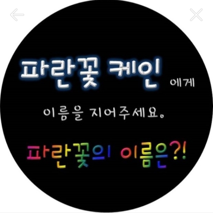 고
