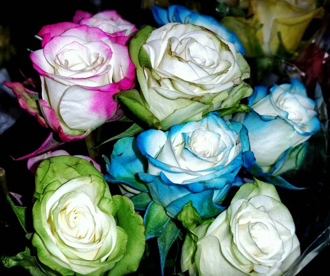 rosebuds