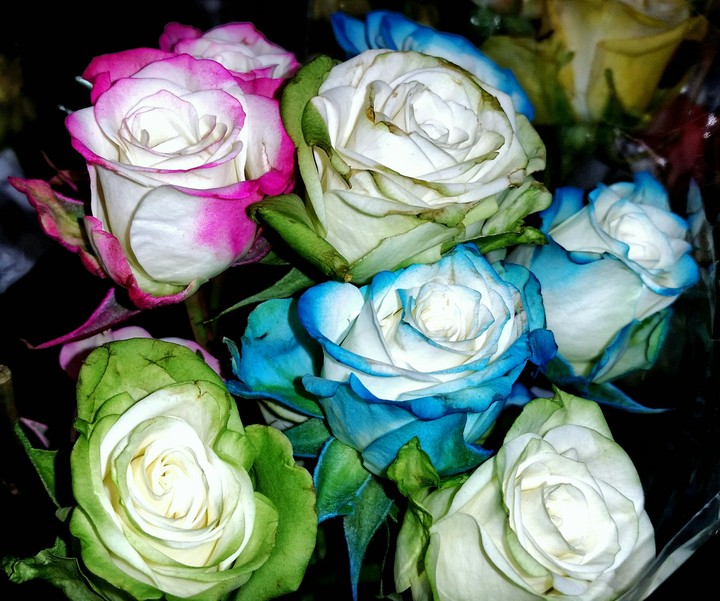 rosebuds