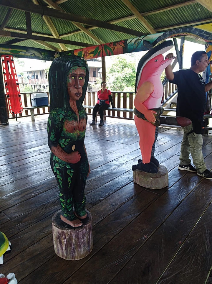 madera monte - amazonas Colombia