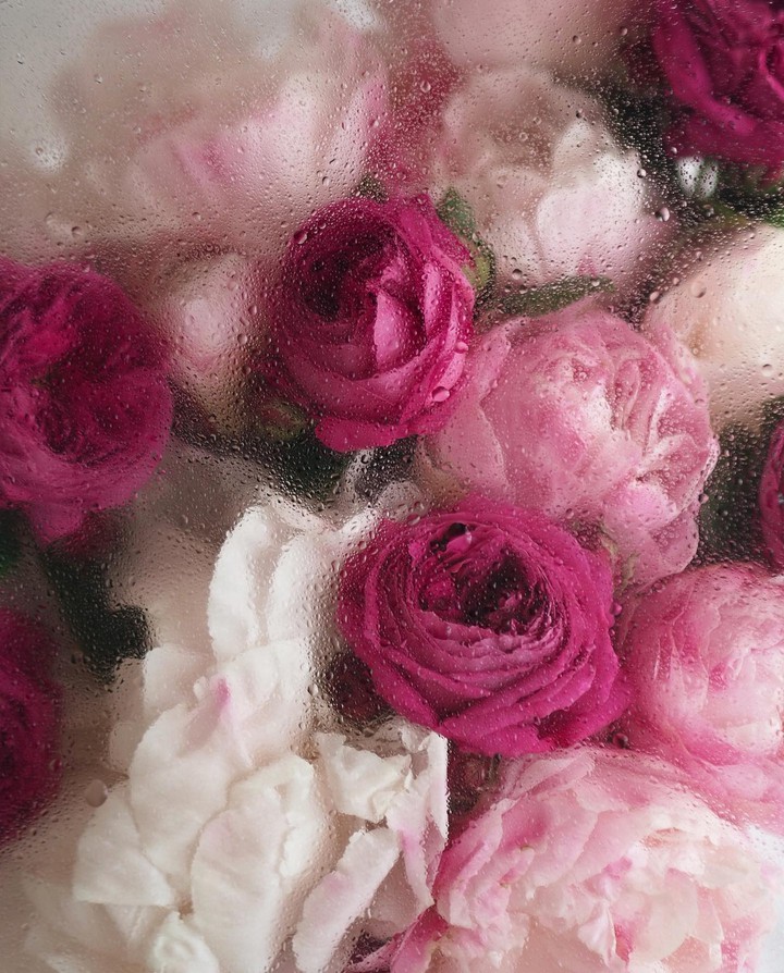 ~○｡°•♡♡♡•°｡○~