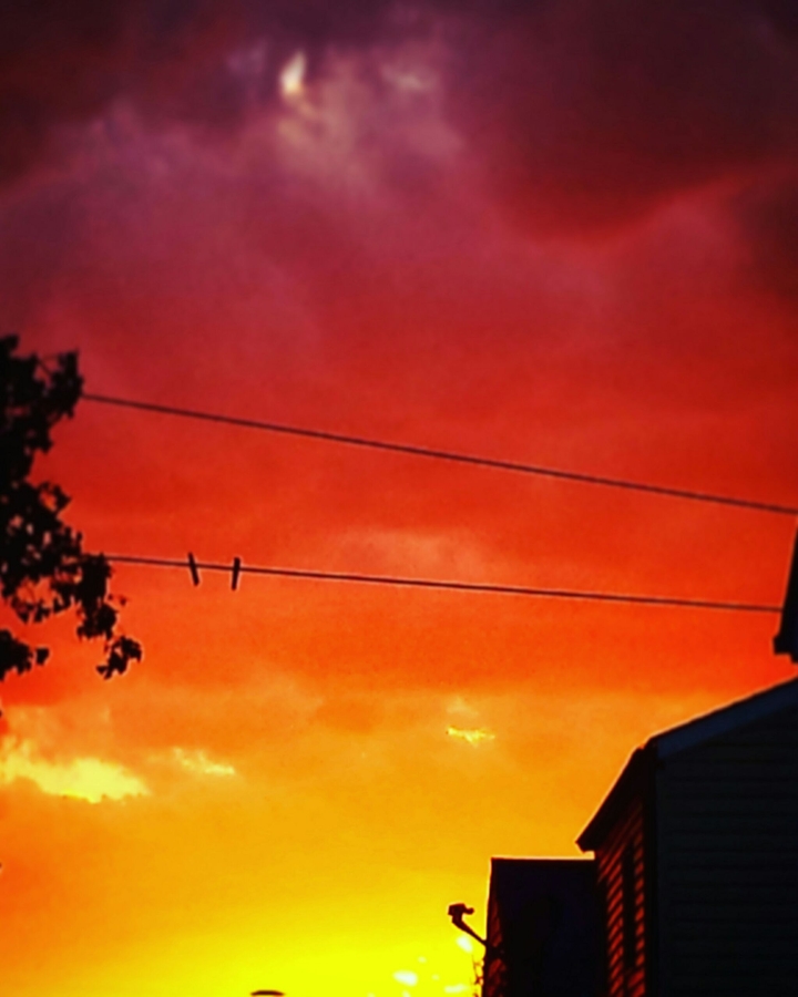 warm colors