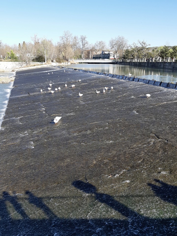 Jardines del Príncipe