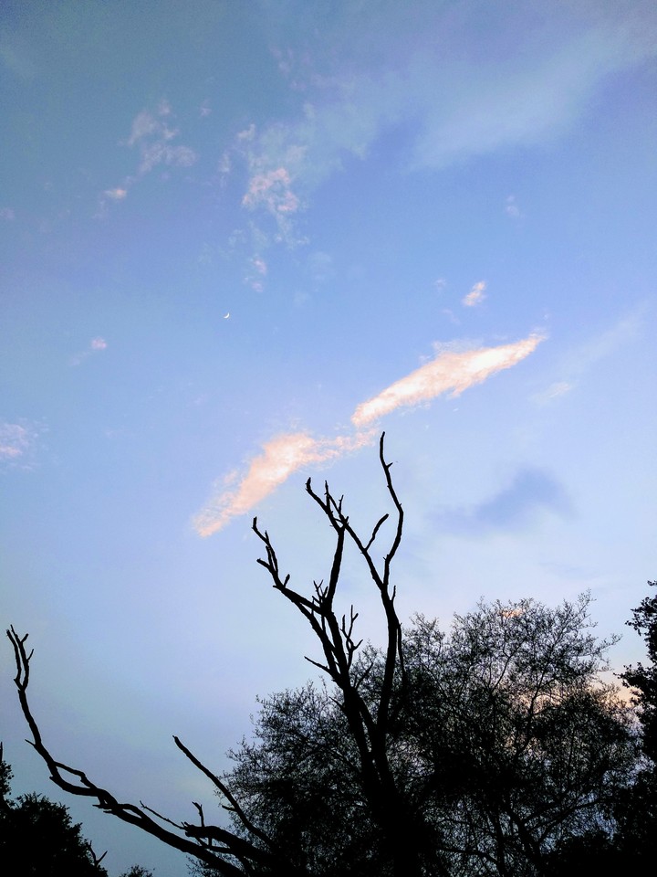Evening