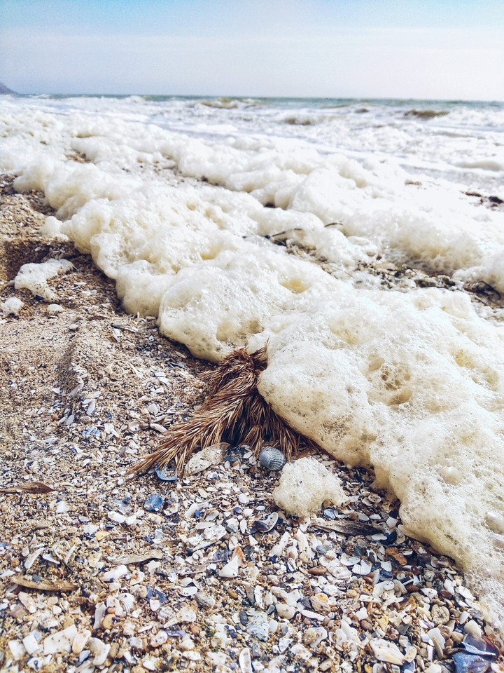 Море
