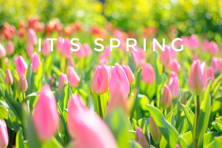 Spring