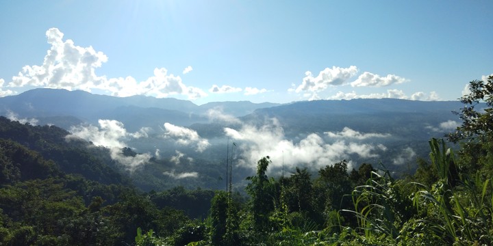 Hill