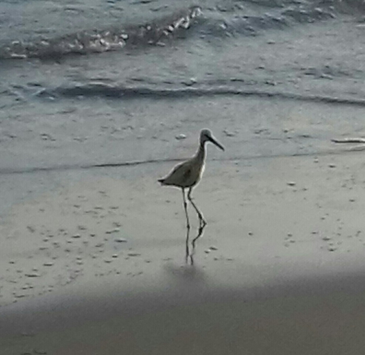 Acapulco Mexico