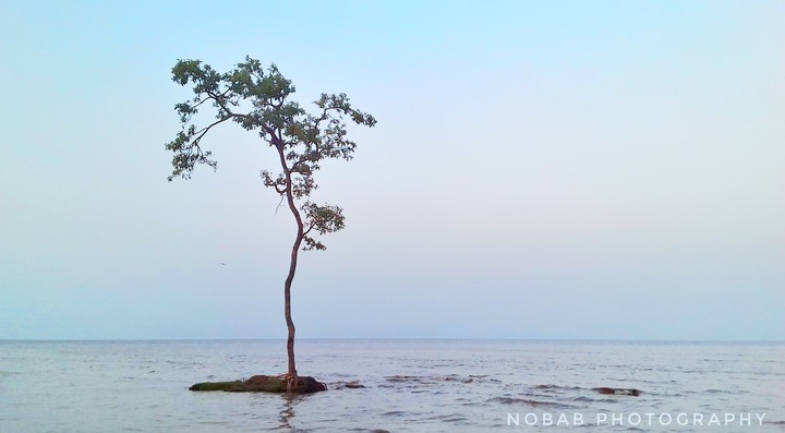 alone