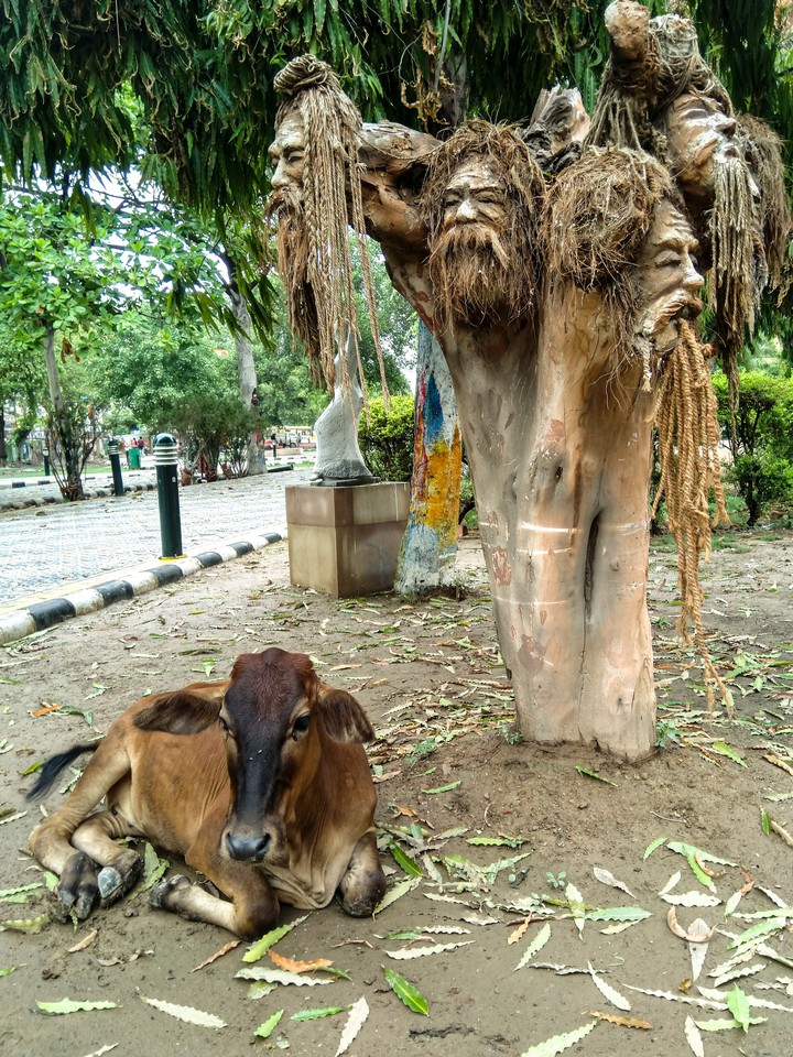 sadhu