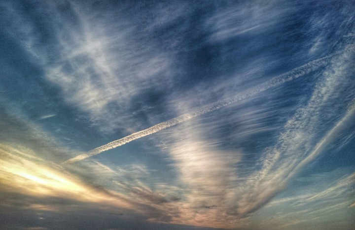 White Trail.