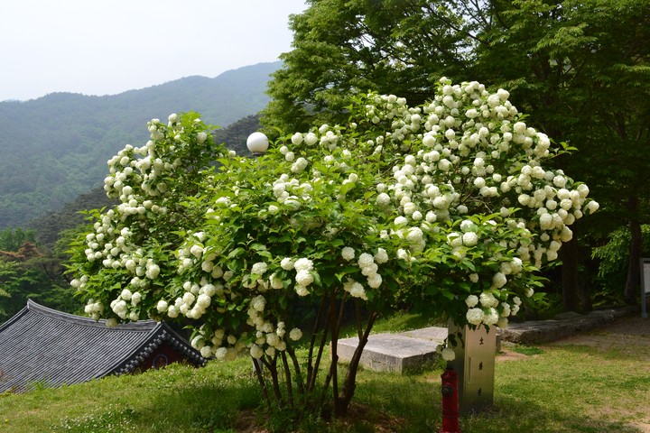 산이미지