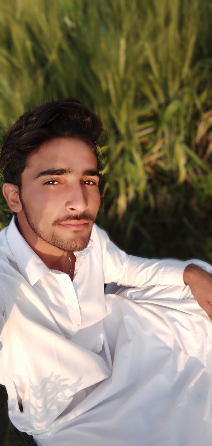 sartaj