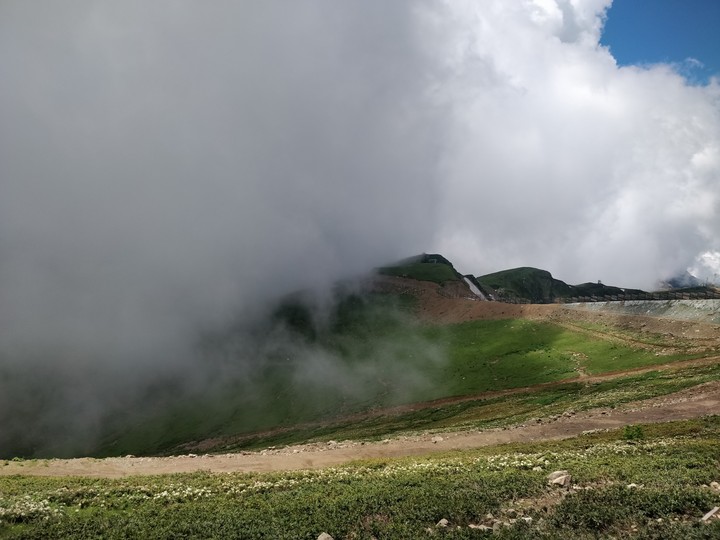 fog