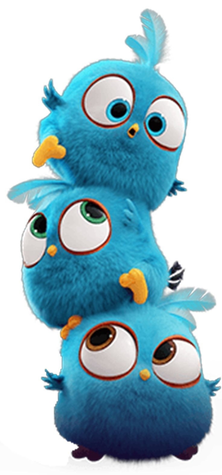 angry birds