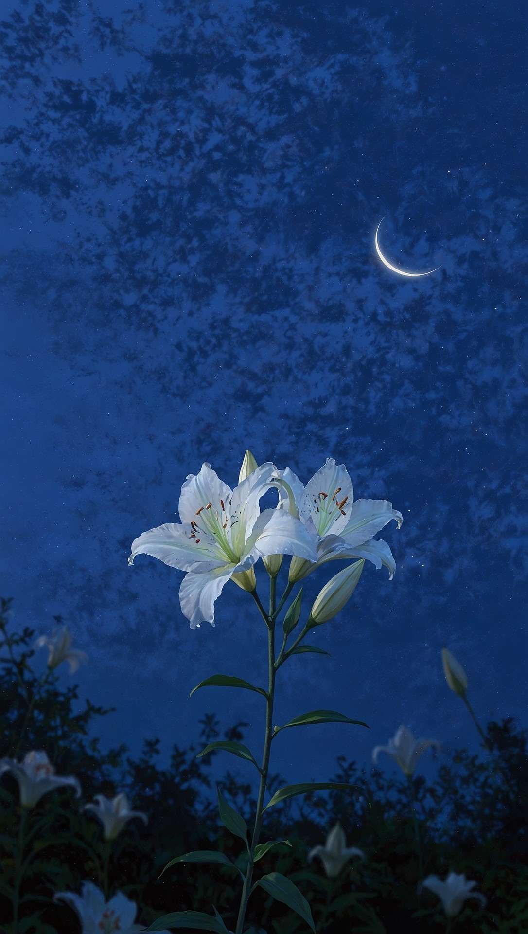 Nature's art