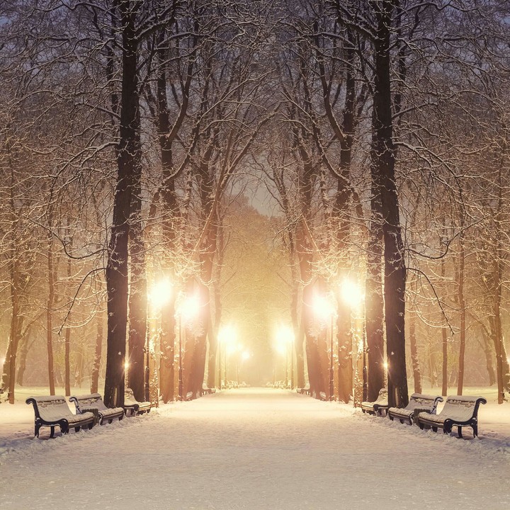 Walking down Christmas lane