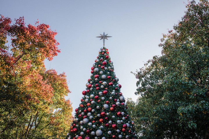 CHRISTMAS Tree