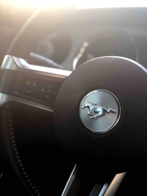 Mustang