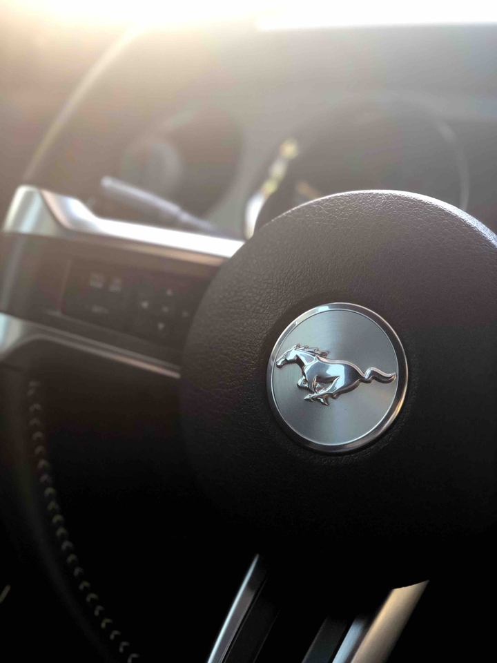 Mustang