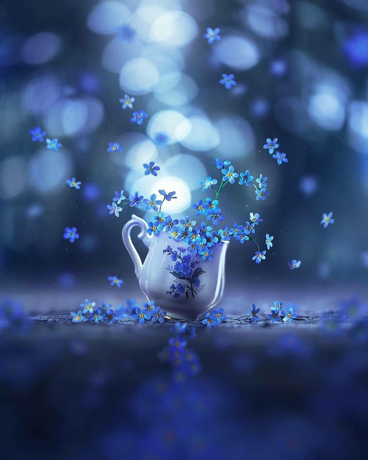 jar of love