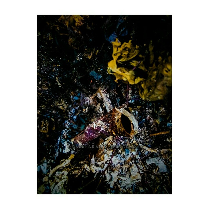 ||| •Ash• |||