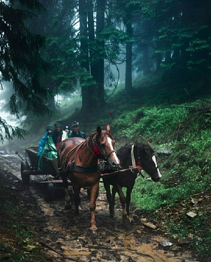 Ukraine