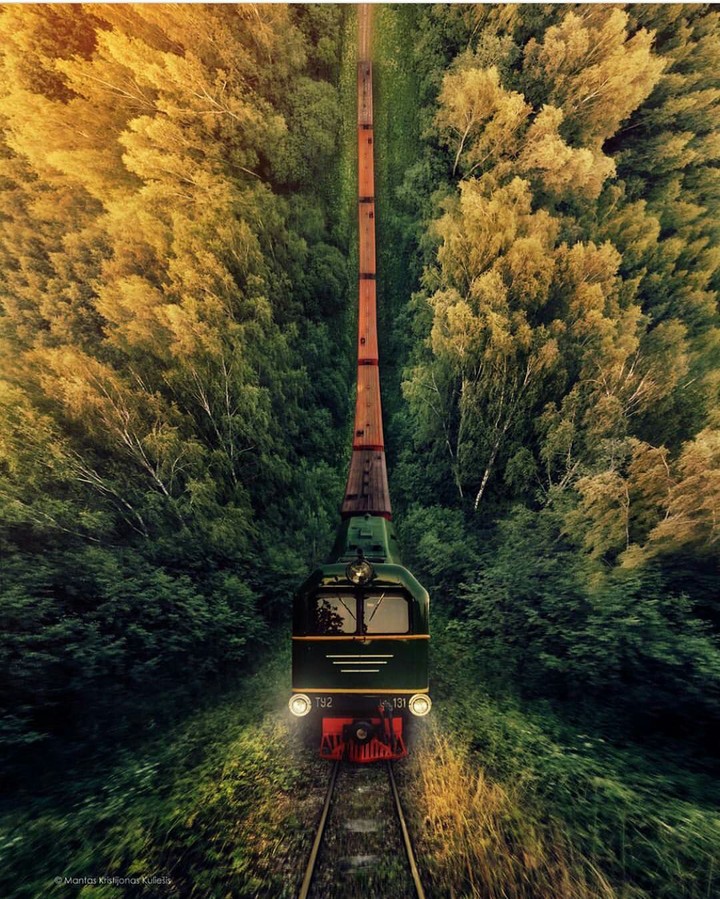 train