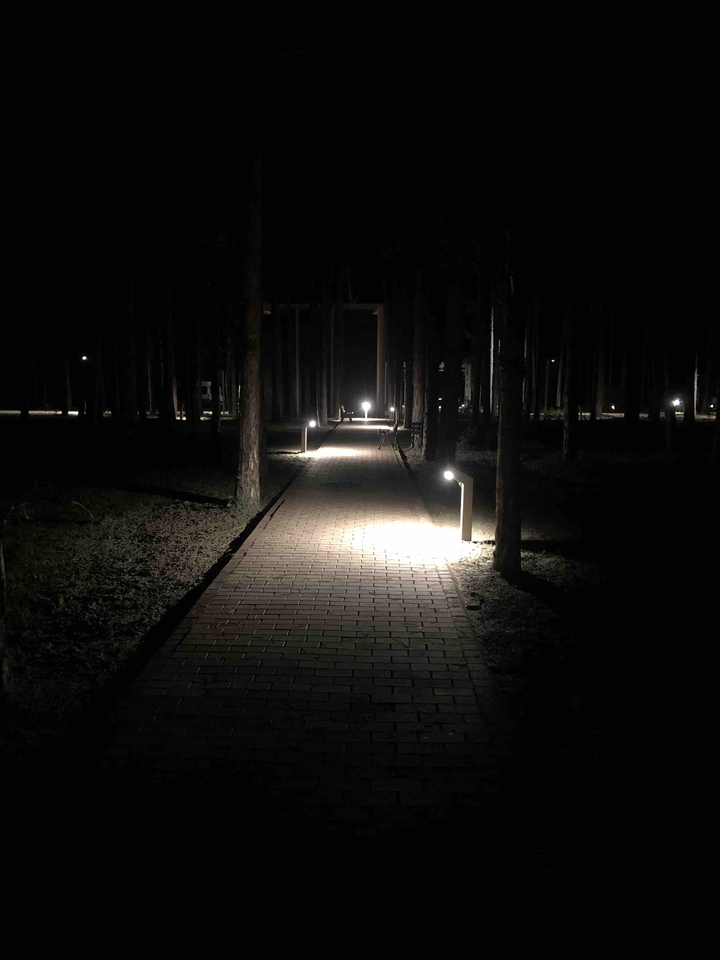 night
