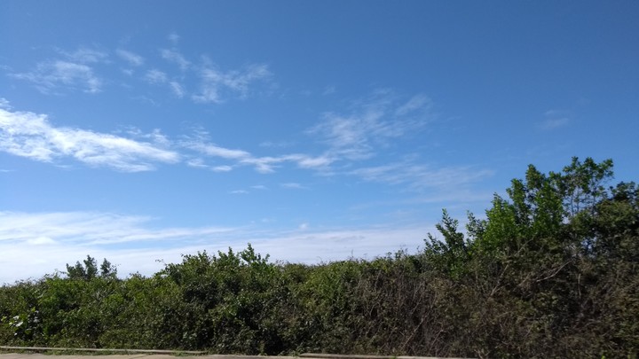 Natureza