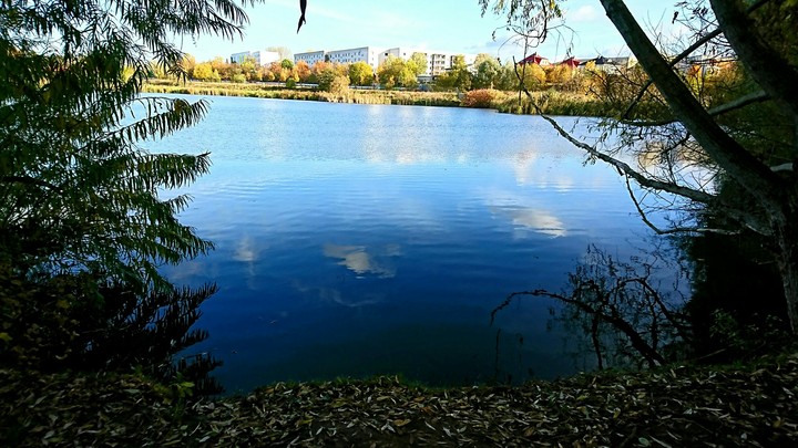 sea of silence