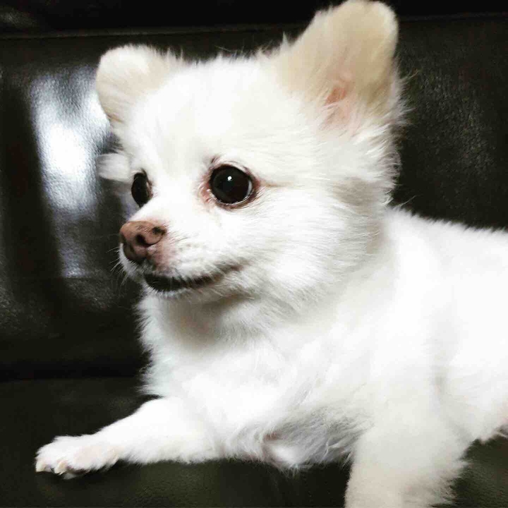 cute