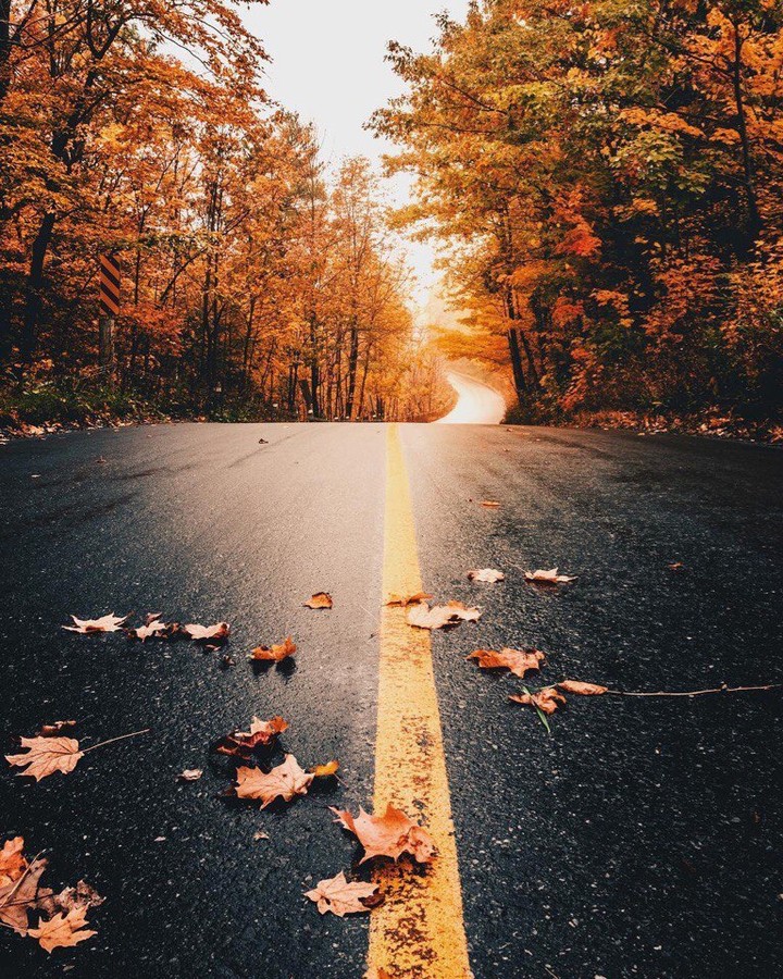 Road