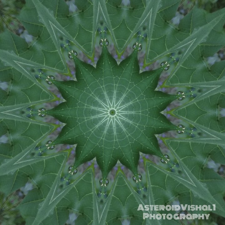 Amazing Flower Lead Kaleidoscope Effect