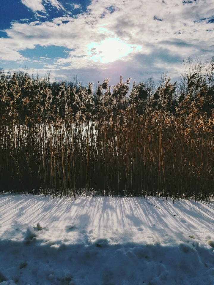 winter