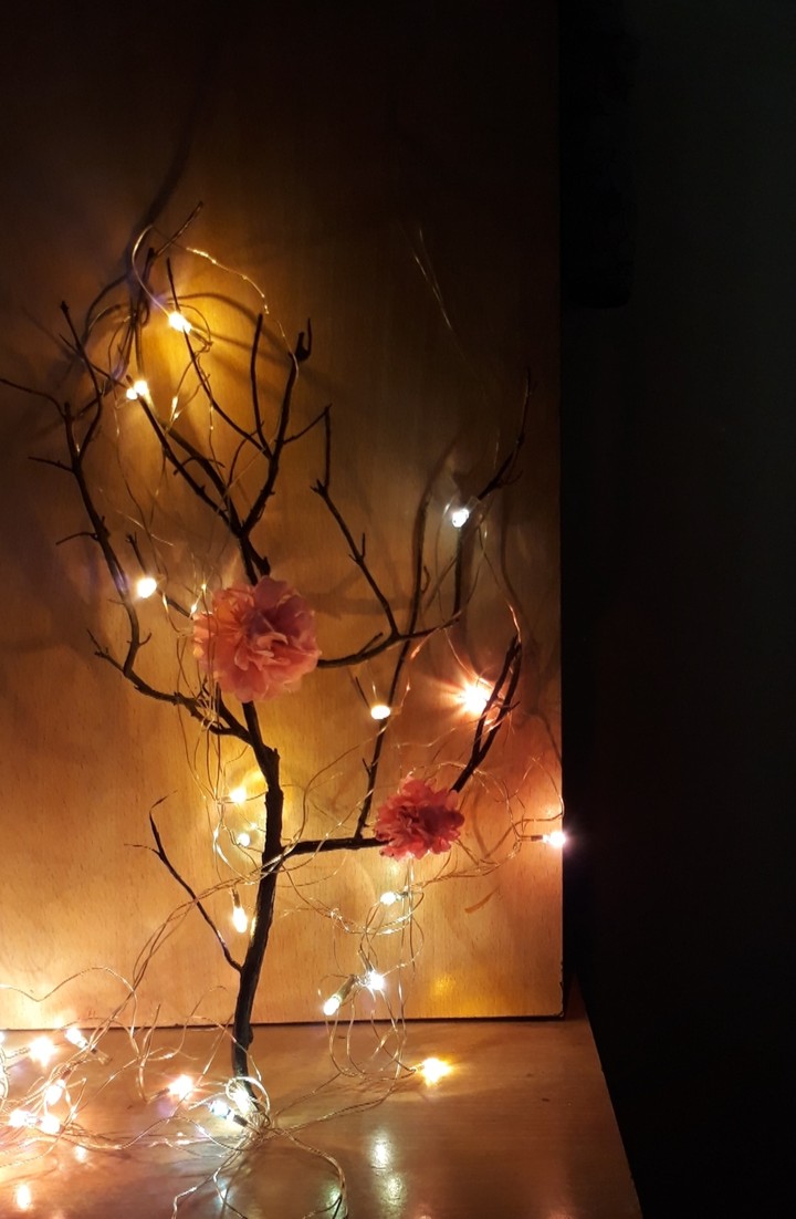 #homedecor #art #artluv #lights #creative