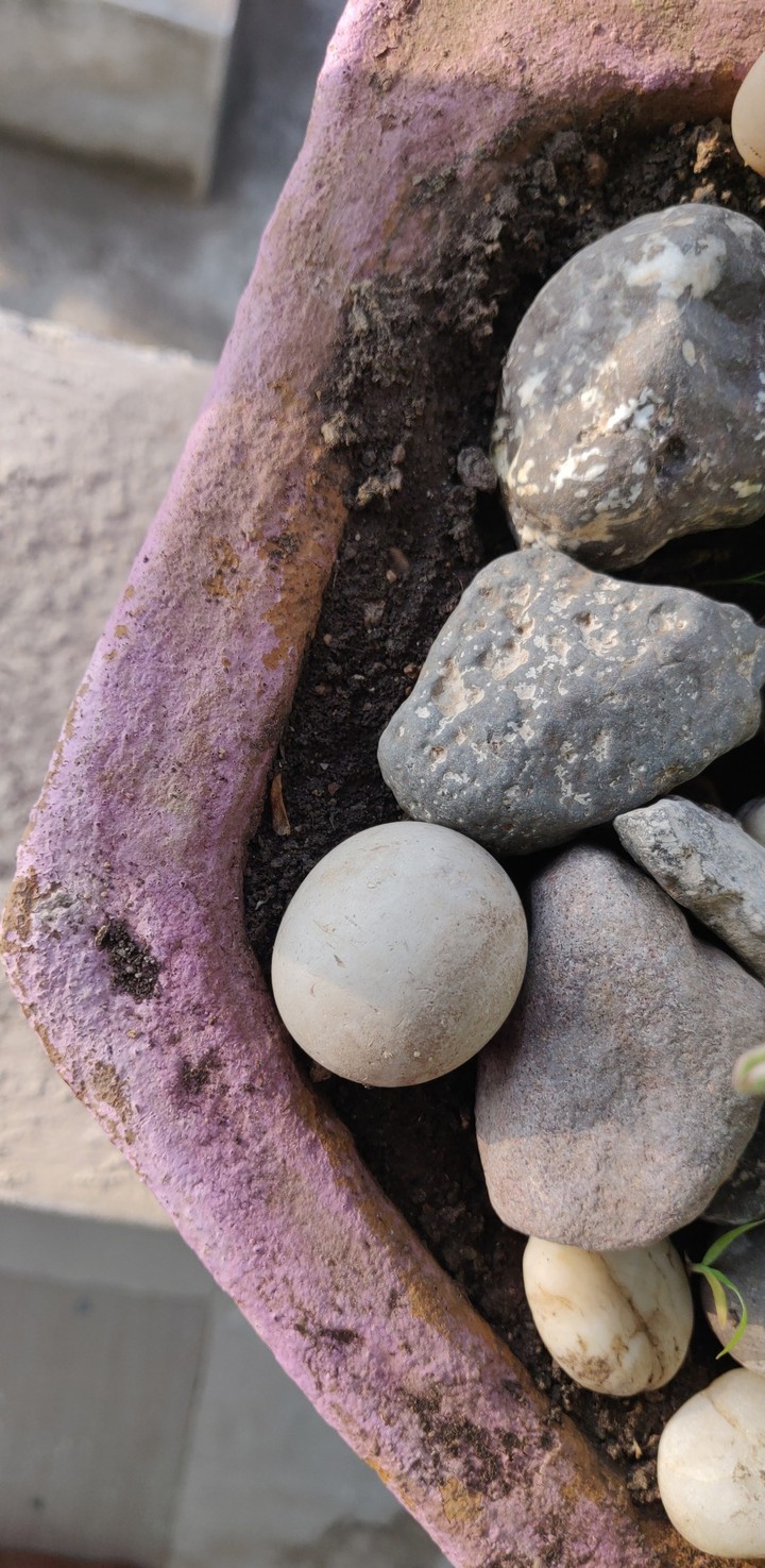 Rock with purple
