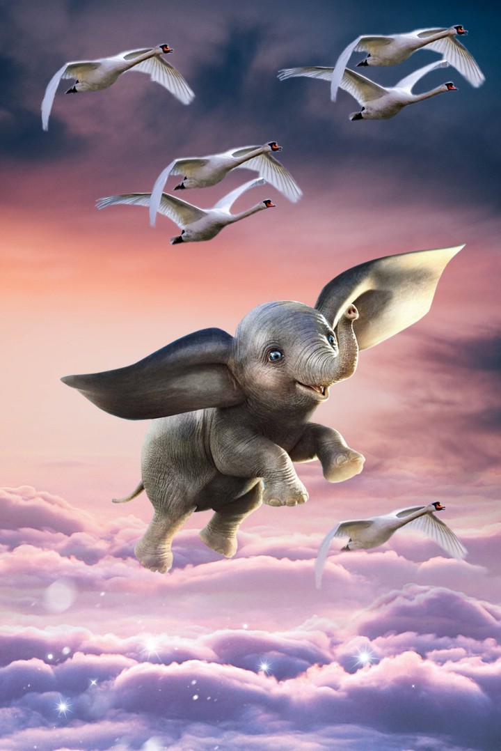 Imagination