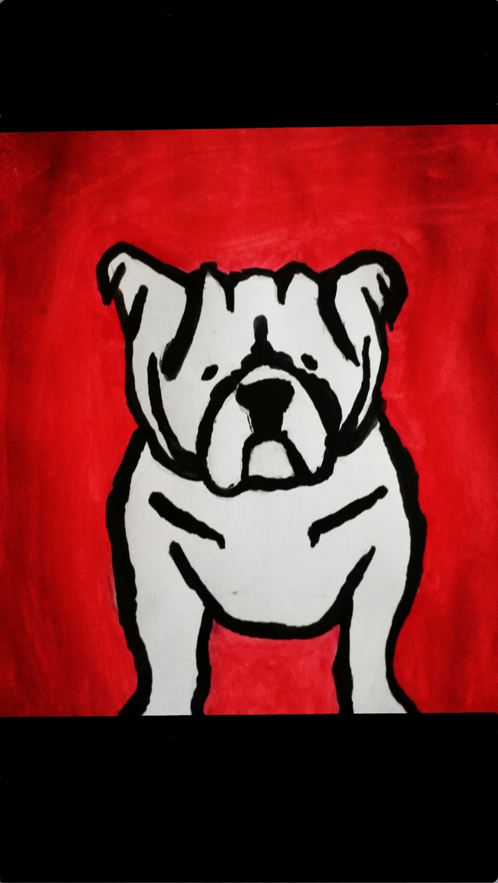 bulldog