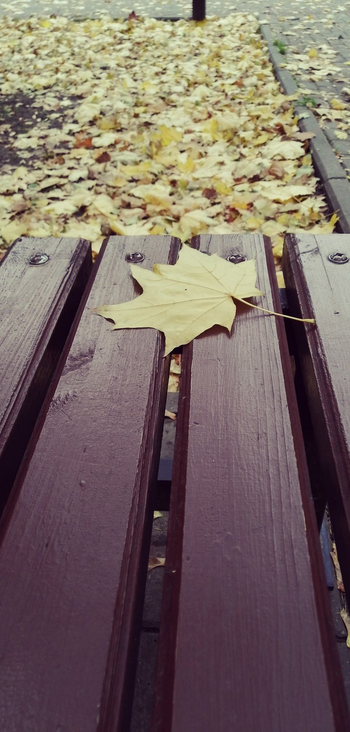 Autumn