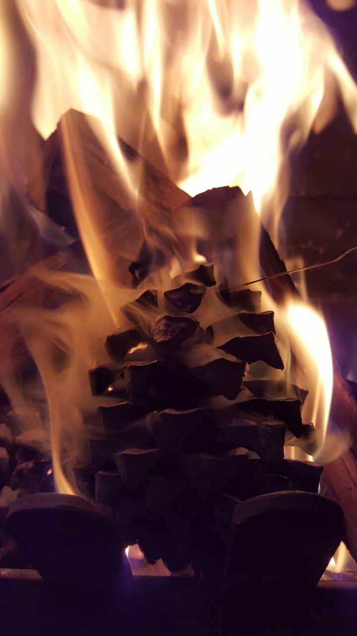 Fire