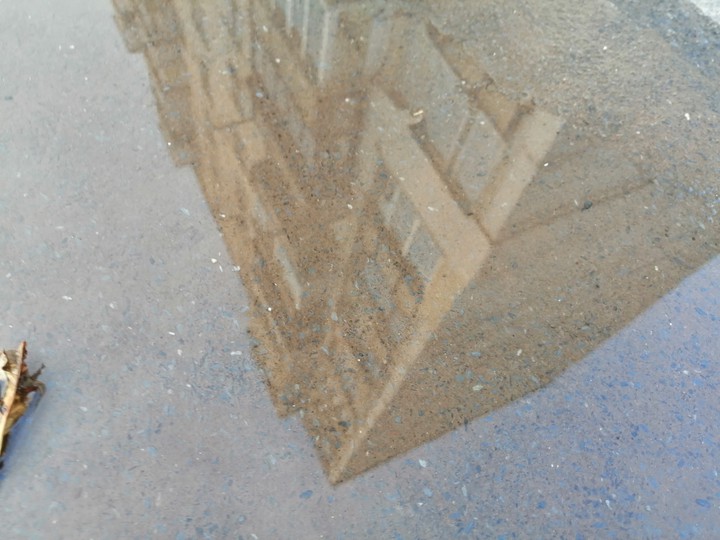 House in Reflection