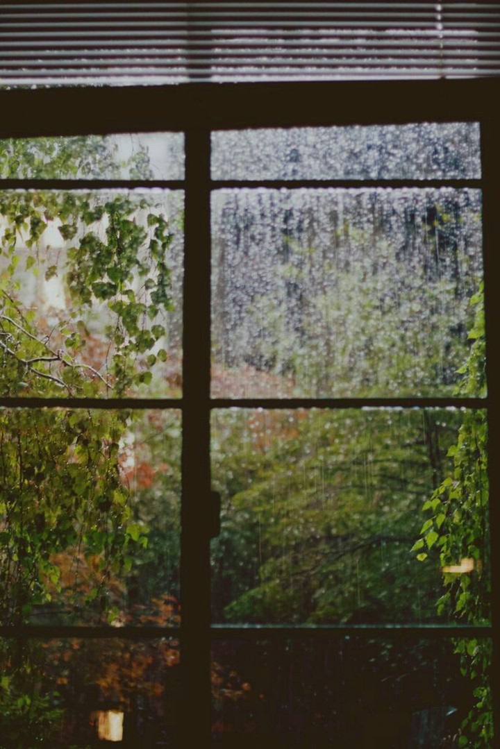 Greenery