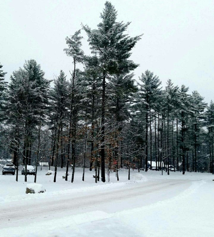 Chilly